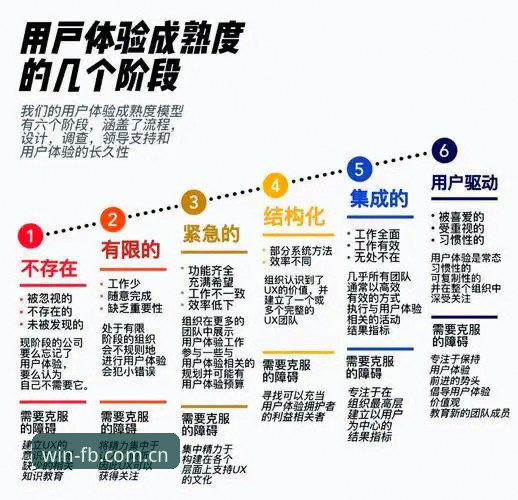 FB体育更新 FB体育平台全面解析:从版本更新到用户体验的深度分析